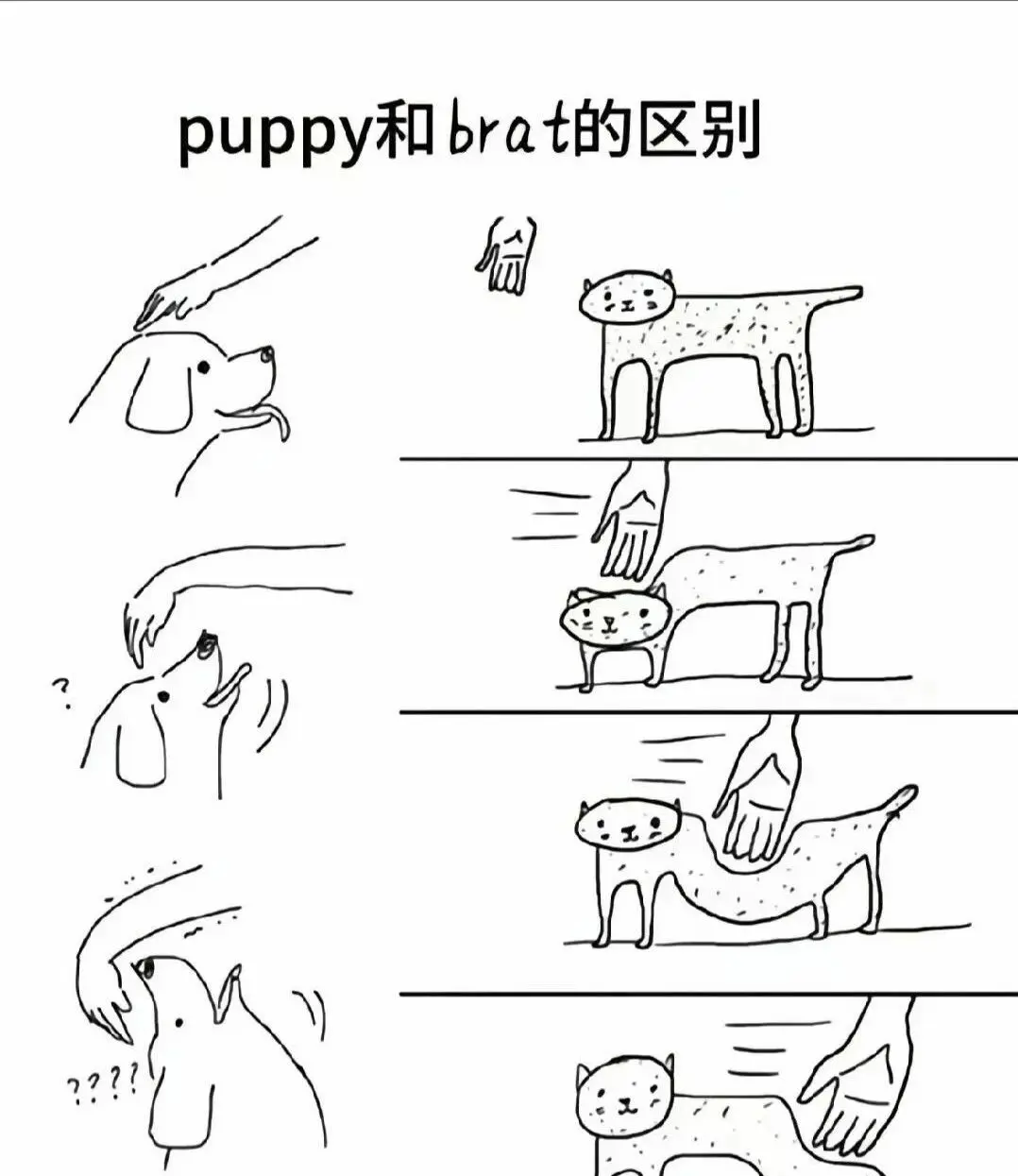 西檬之家-字母圈新人如何入圈？