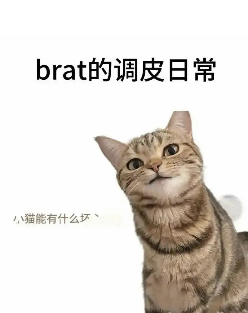 【西檬之家】字母圈新人入门：读懂BDSM亚文化与SSC原则