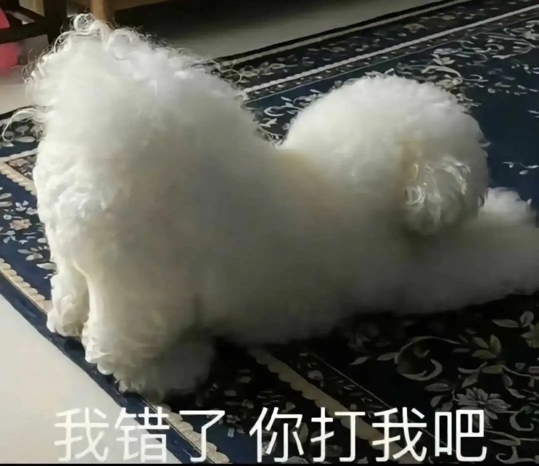 【西檬之家】Sub是什么？探索字母圈中的臣服者角色