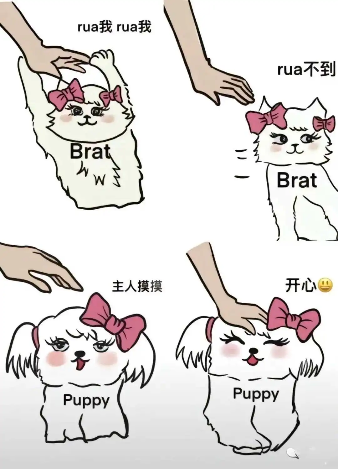 西檬之家-K8猫奴养成记：探索猫系角色扮演的魅力