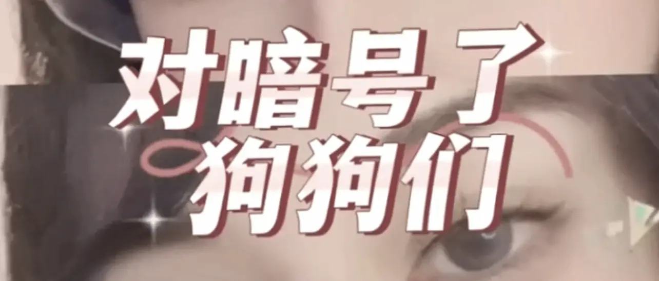 【西檬之家】恋足癖：BDSM圈内的非典型互动解析