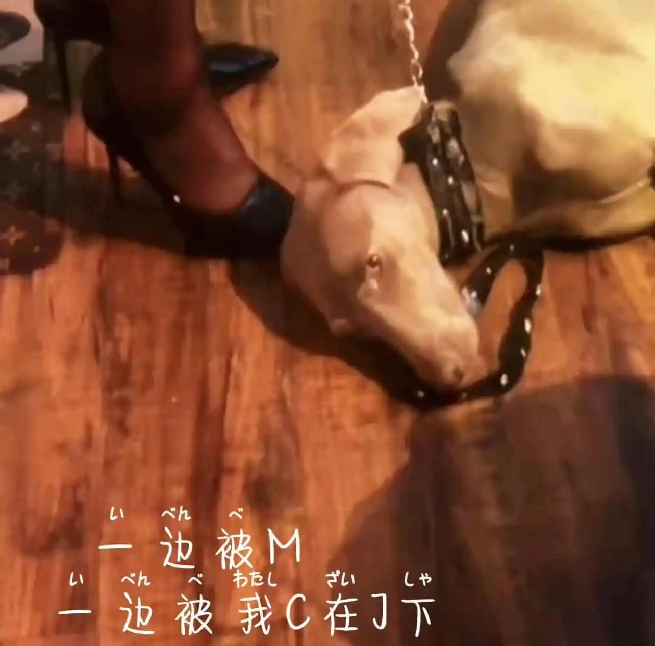 【西檬之家】BDSM踩脚游戏解析：踏在信任之上的权力流动