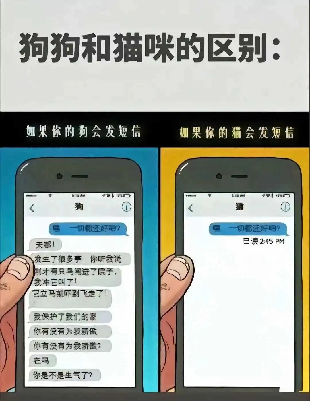 西檬之家-k8猫系解析：BDSM猫奴的性格与相处之道