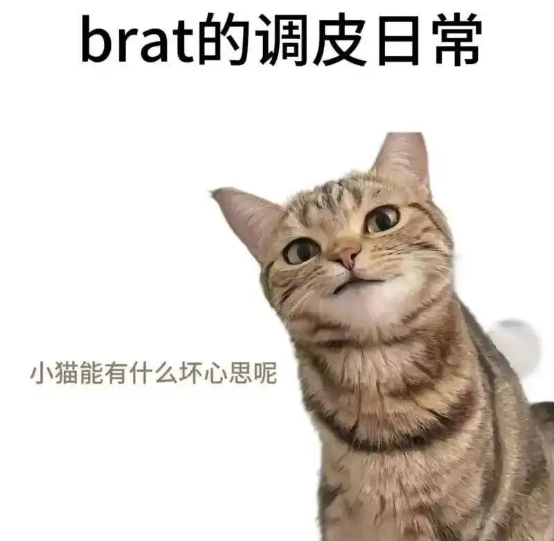 【西檬之家】BDSM小圈新人入圈指南，掌握基础术语与安全要点