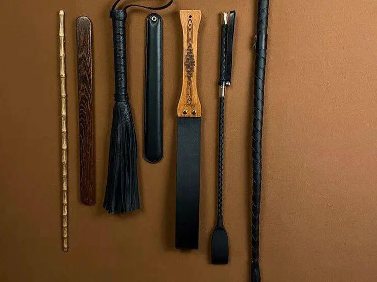k9是什么 - 2023_12_10_17_19_IMG_9238