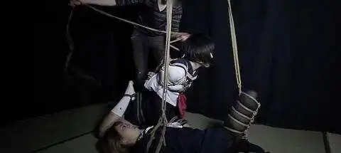 西檬之家-字母圈新手指南：全面解析BDSM核心术语与安全原则